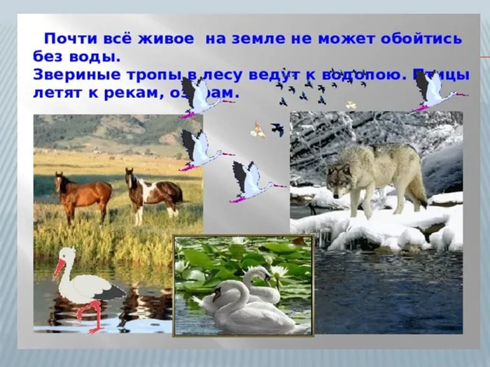 Слайд4