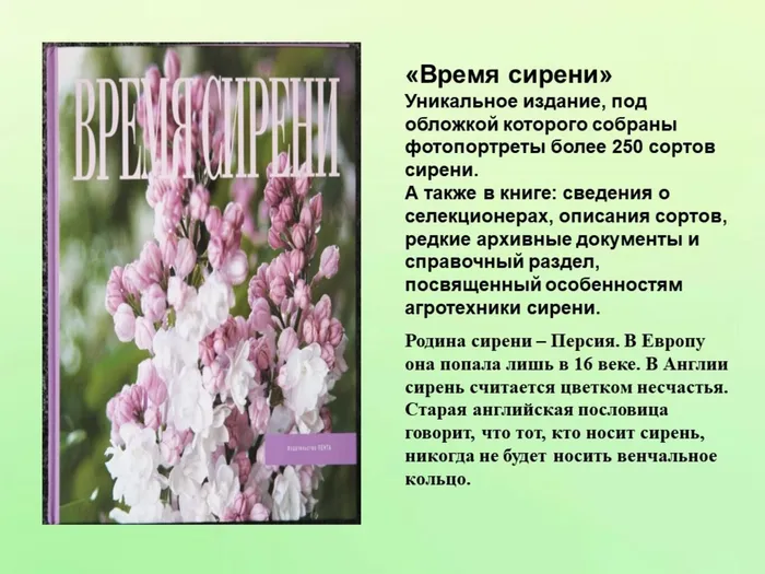 Слайд3.JPG