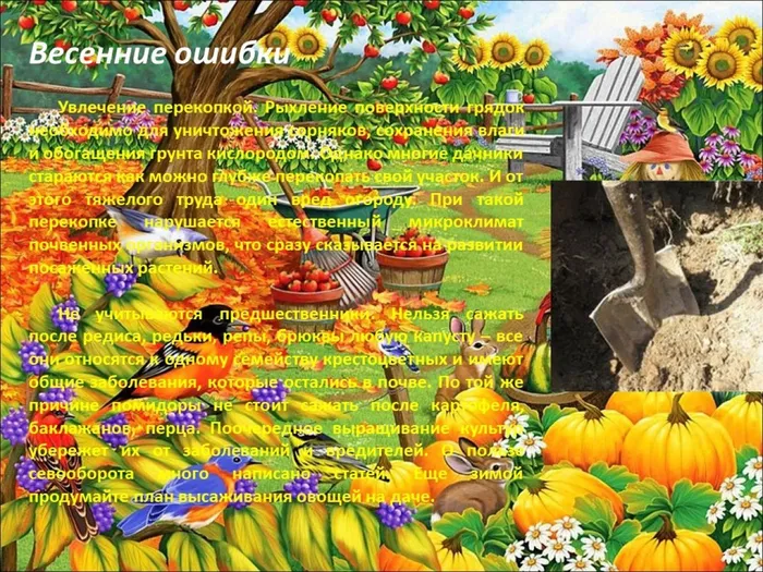 Слайд3