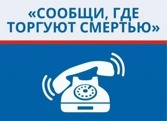 hW2n6Nk8sfYv9LvYy88A6CJsf64pvt_XTUSFlFAp_fit-in_700x700_filters_quality(80)_format(webp)_www.leocdn.ru_uploadsForSiteId_11_content_df1a594b-dbe4-45eb-a2f2-a4a767524493