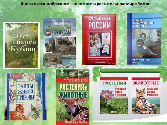 Слайд9
