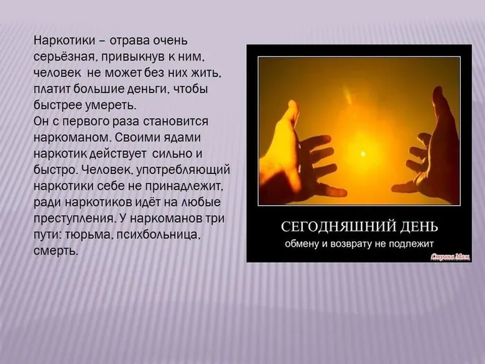 Слайд6