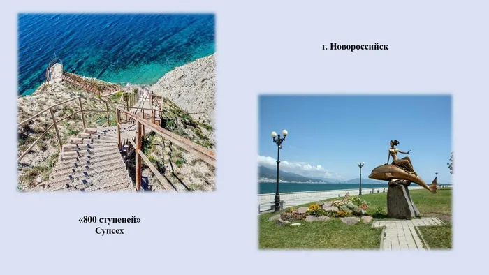 экология и природа родного края_page-0007