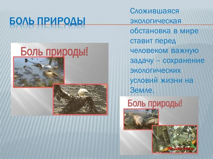 Слайд9