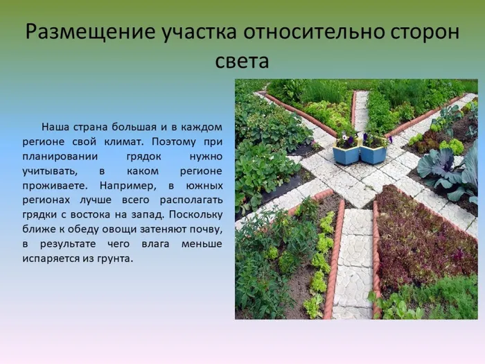 Слайд7