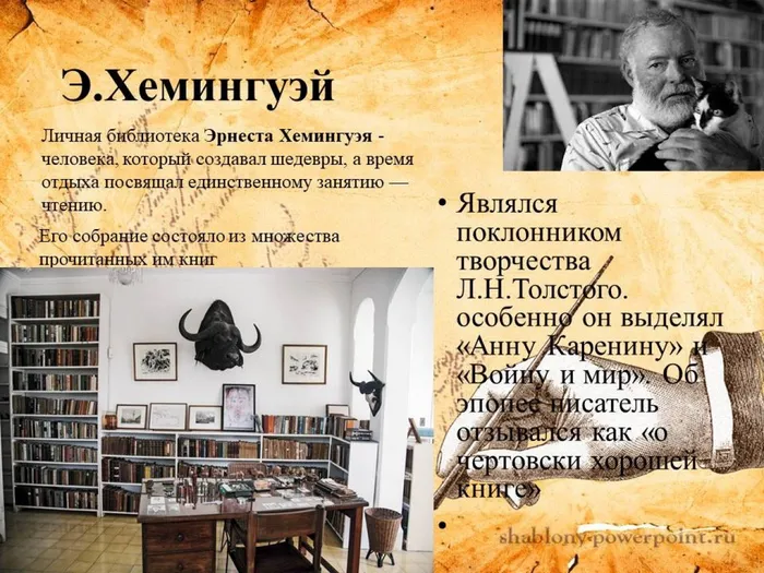 Слайд8