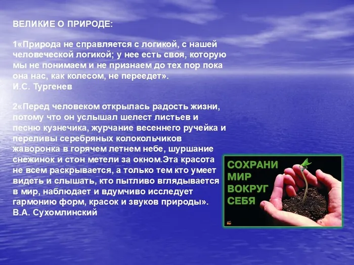 Слайд12