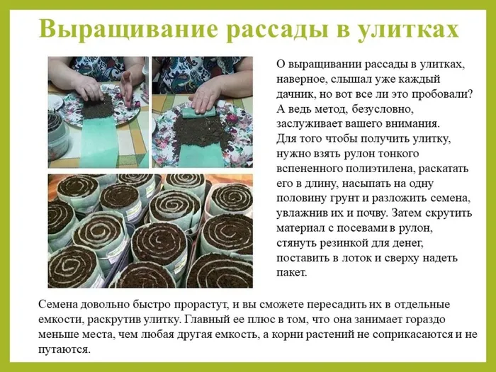 Слайд2