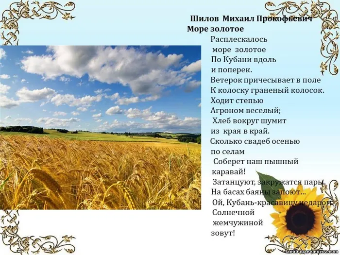 Слайд8