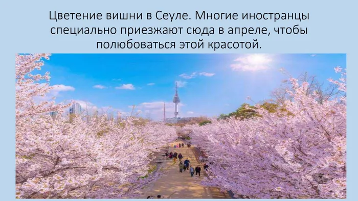 Страна утренней свежести_page-0004