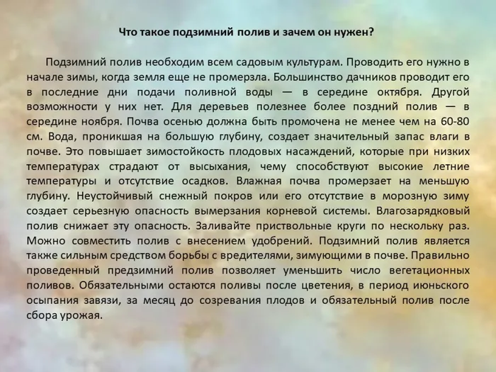 Слайд3