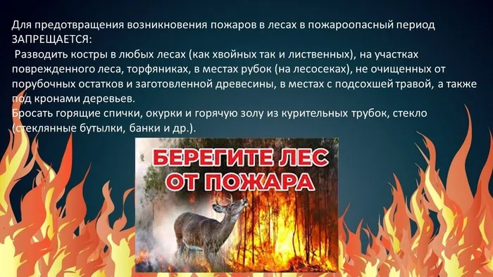 Слайд4