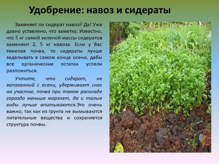 Слайд5