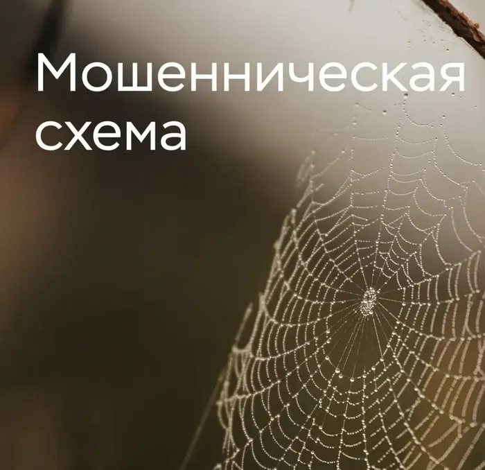 mZqrNMsOdHz2af0ntdXjeUzsRzZdxX2VM78du51B_fit-in_1024x1024_filters_quality(80)_format(webp)_www.leocdn.ru_uploadsForSiteId_15346_content_93b5713e-254d-485e-9c1f-8130dd9fa41a