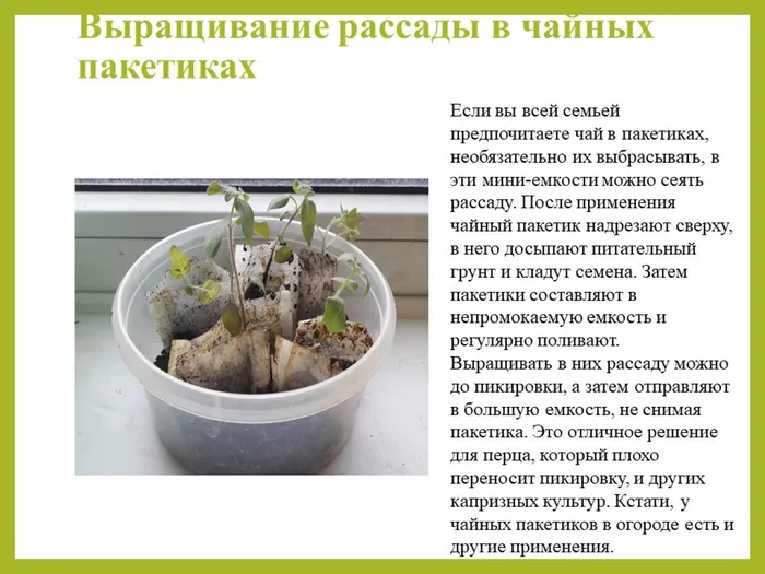 Слайд4