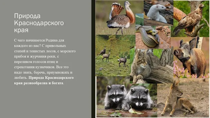 Слайд5