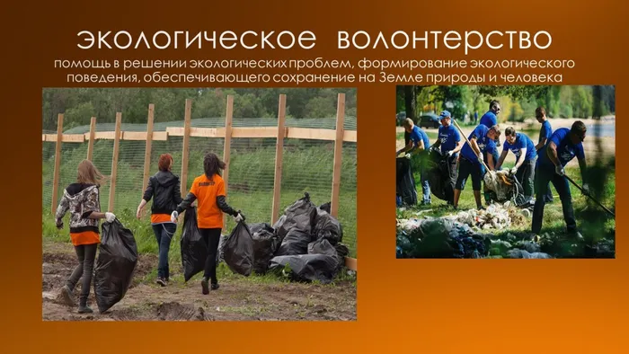 Слайд12