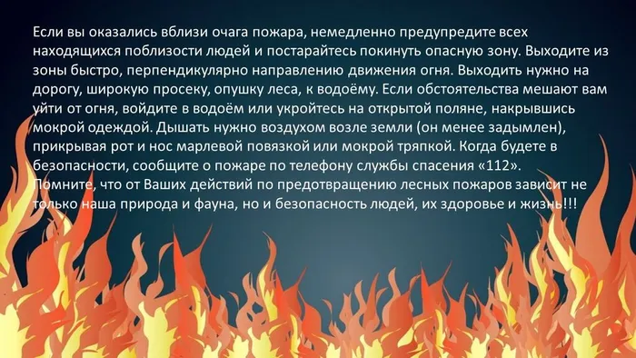 Слайд6