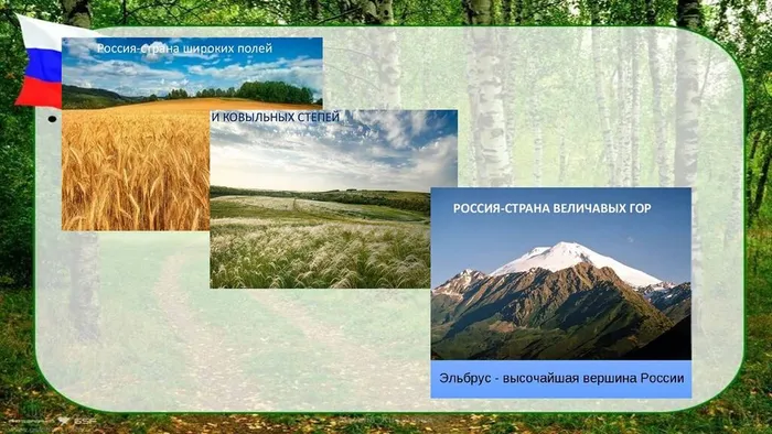Слайд7