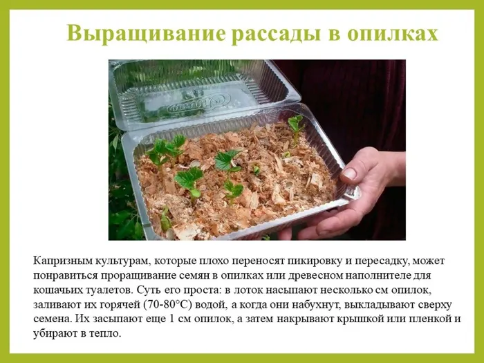 Слайд8
