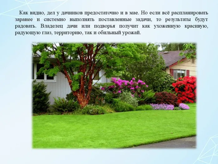 Слайд10