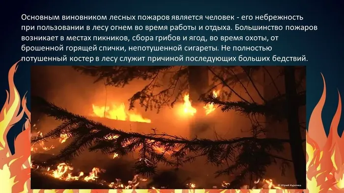 Слайд2