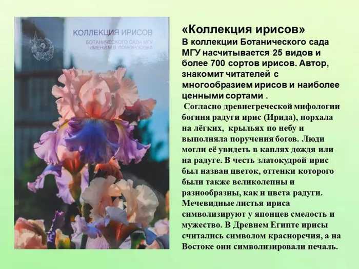 Слайд5.JPG
