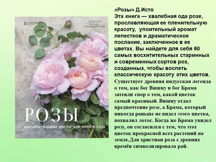 Слайд6.JPG