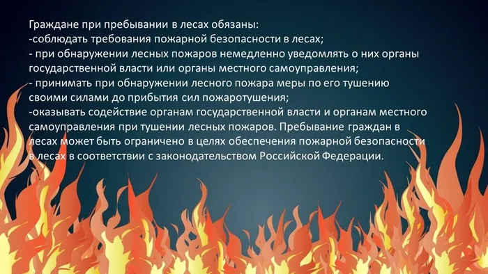 Слайд5