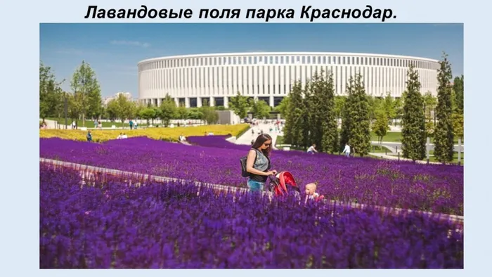 Слайд9