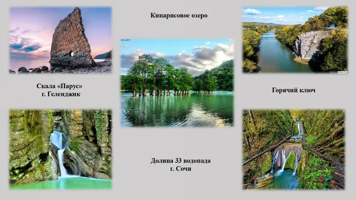 экология и природа родного края_page-0005