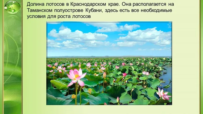 Слайд7