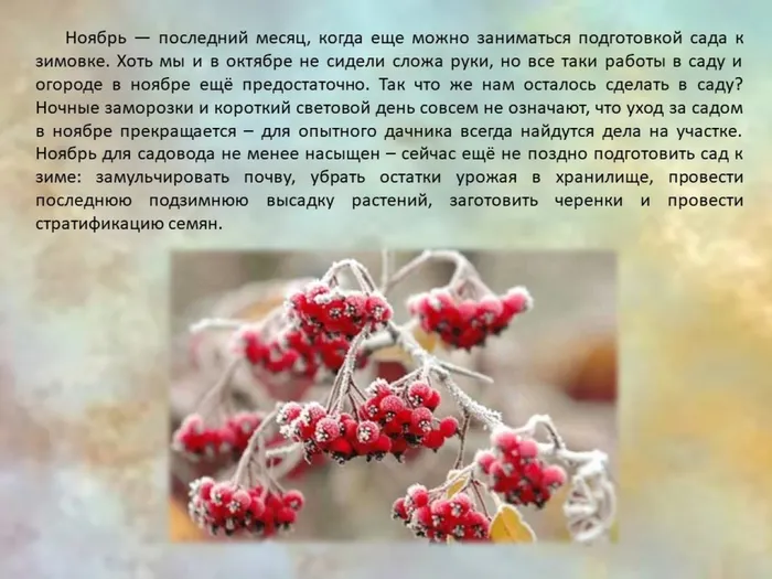 Слайд2