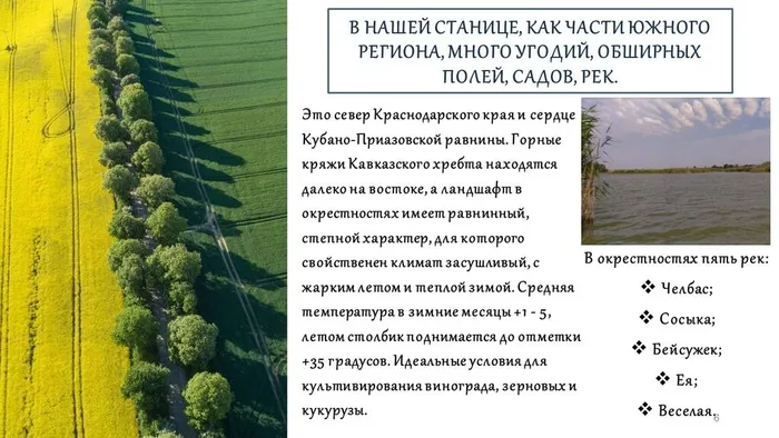 Слайд6