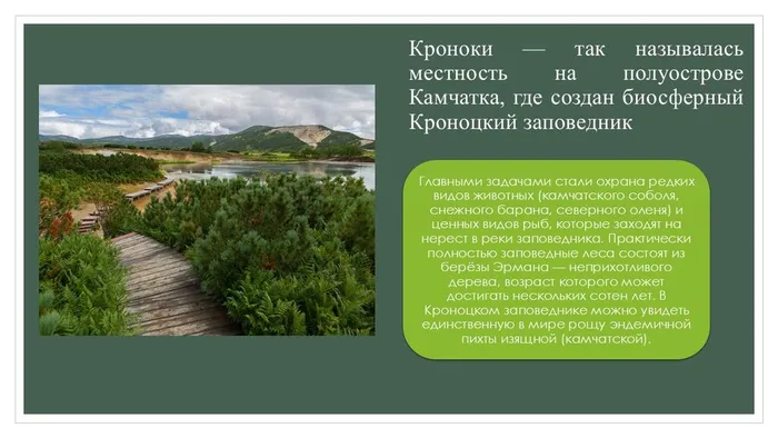 Слайд6