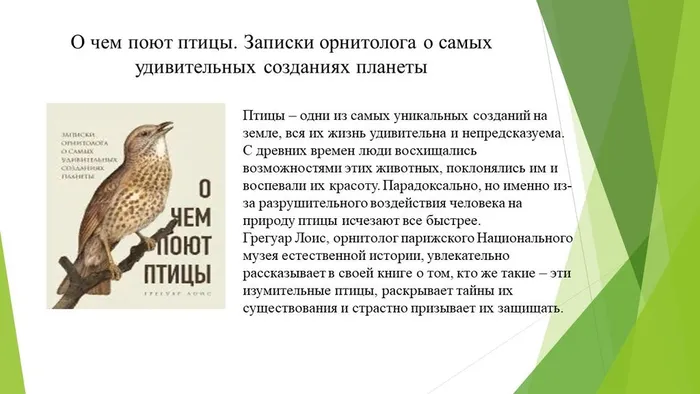 Слайд7
