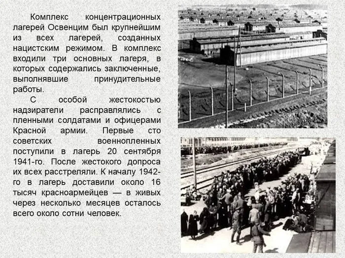 Слайд6