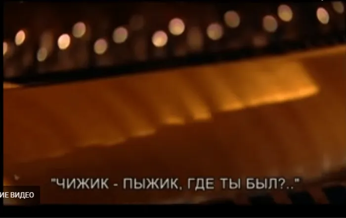 чижик2