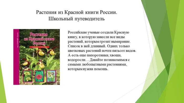 Слайд5