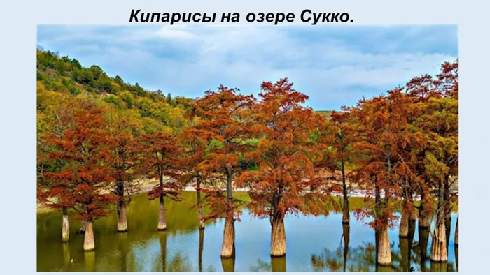 Слайд8