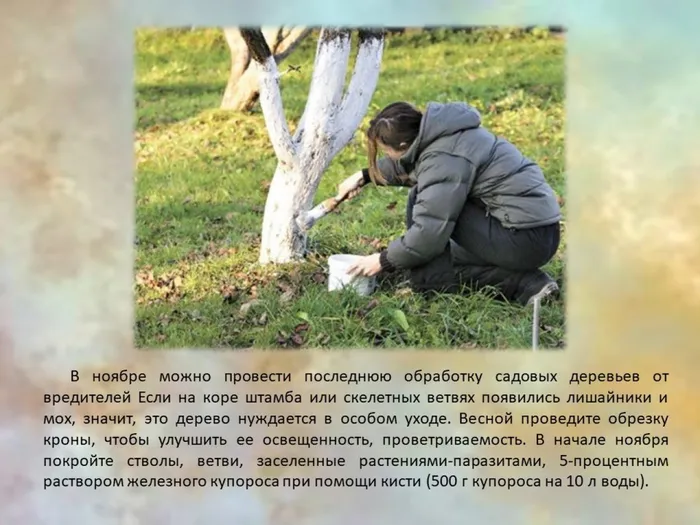 Слайд6