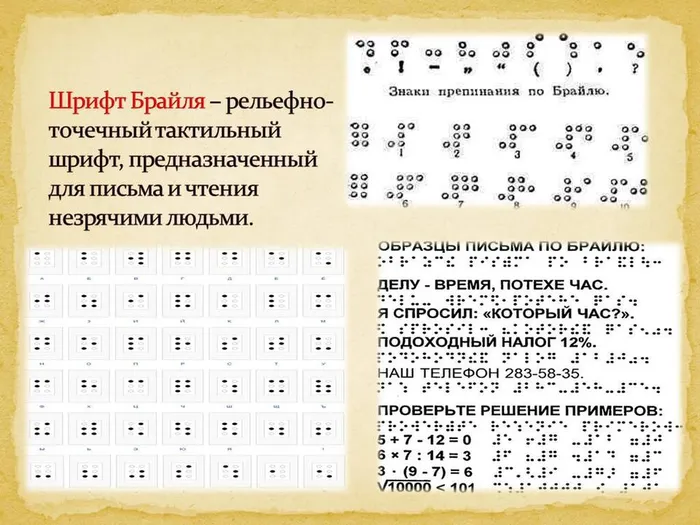 Слайд6
