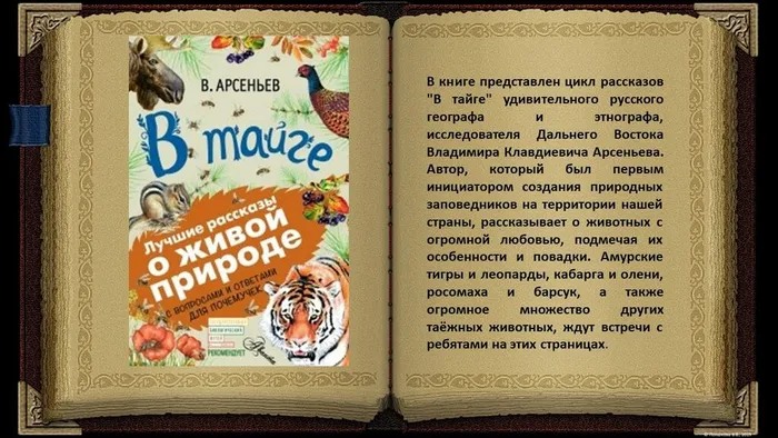 Слайд8