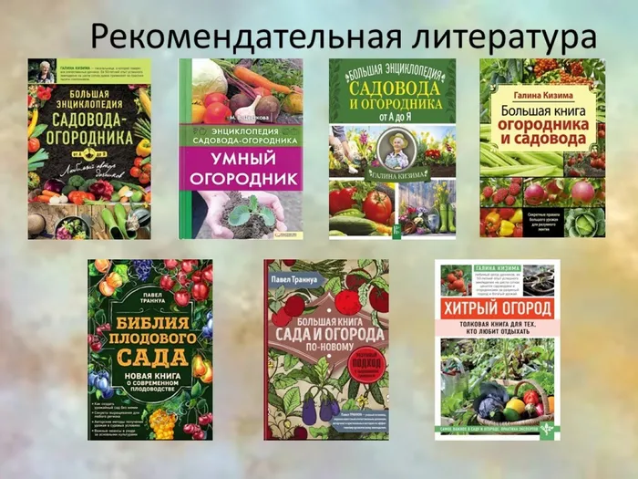 Слайд8