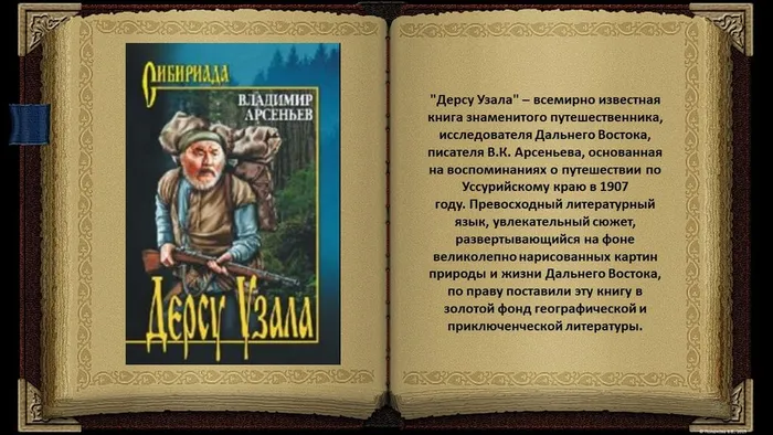 Слайд12