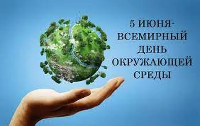 Без названия (31)