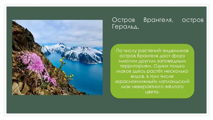 Слайд5