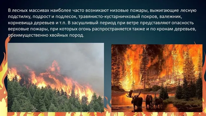 Слайд3
