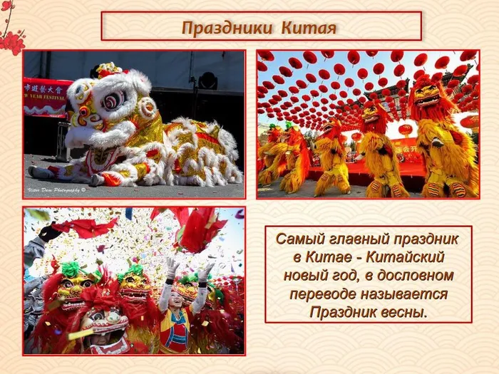 фото 9