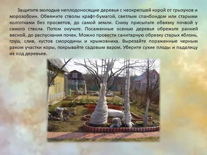 Слайд5